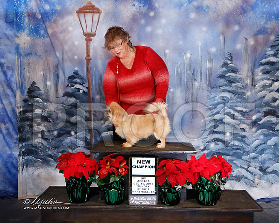 _J8_6486-MrshlDec13-HR