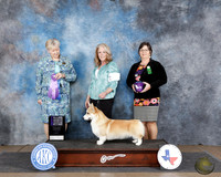 Debbie Cox Ft Worth Specialties 2025