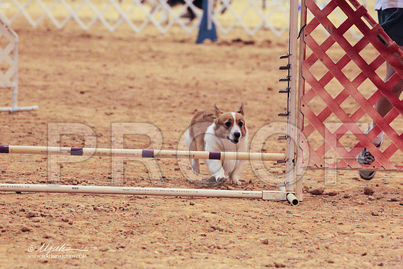 CorgPW-7926 PROOF