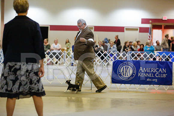 _JN_8536-AmarilloSept2014-HR3