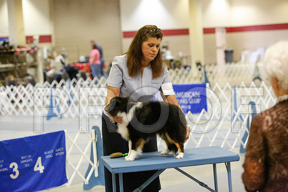 _JN_4332-AmarilloSept2014-HR3