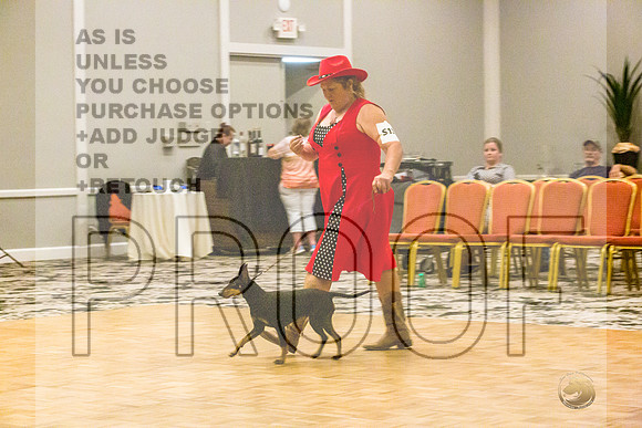Manchester Terrier MTOY Candids-JJL_2281-Hstn2022_HR3