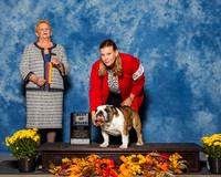 Bulldogs #11 Sat BOB Garza Dino Judge Mrs Rita Holloway