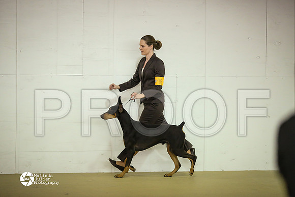 Dobe-7816-HtoJan14-HR