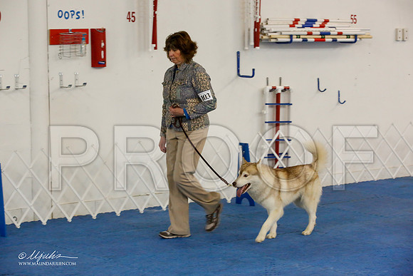 _M3_7962-AddisonHuskyMar2015-HR3