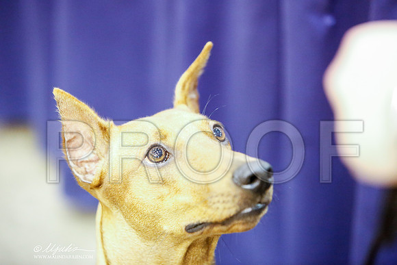 _JJ_6874-HstnJul2014-HR3