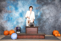 Yorkshire Terrier #7 Sun WDM Judge Tim Catterson