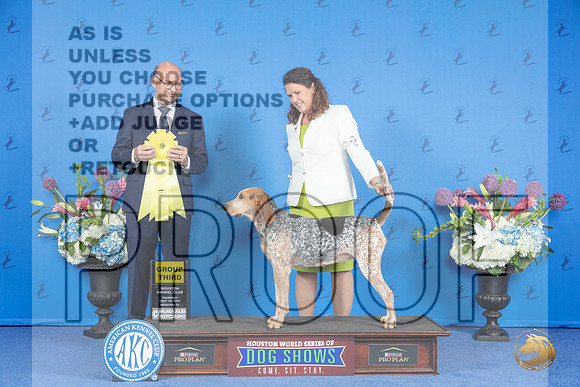 American English Coonhound # THUR G3 Judge Jamie Hubbard__JP_8601_Houston_2024_HR3