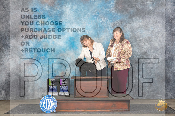 Affenpinscher #6 Sat OHRBIS Judge Polly Smith OHG1 Judge Beth __JP_5681_San Antonio_2024_HR3