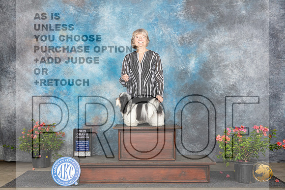 Havanese #6 Sat BOSGCH Judge Christine Martinez__JP_5894_San Antonio_2024_HR3