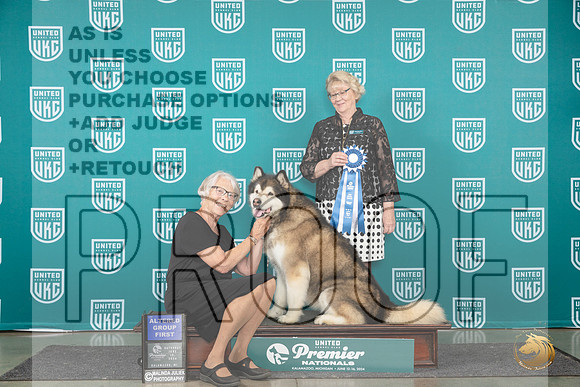 Alaskan Malamute #1301 Sat AG1 Judge Deb Allen__JP_2419_Premier_2024_HR3