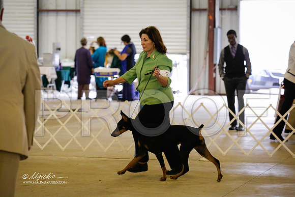 Dobe-1420-CantonOct13-HR