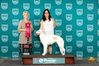 Silken Windhound #453 Sat G1 Sun G2 Judge Diane Price