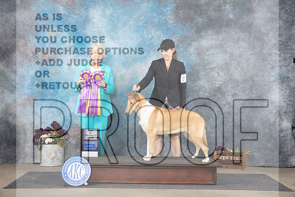 Collie Smooth #6 Sat BISS Judge Sulie Greendale-Paveza__JP_7426_Belton_2024_HR3