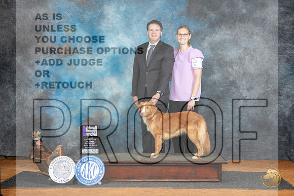Nova Scotia Duck Tolling Retriever #6 Sat WBM Judge Karen Hynek__JP_7689_MARSHALL_2024_HR3