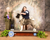 Akita #19 Sat WD Maj Judge Paula Hartinger