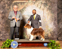 Australian Shepherd #17 BOB NCh Judge Col Joe Purkhiser
