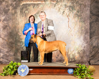 Boeboel #6 Sat OHBOB Judge Paula Hartinger