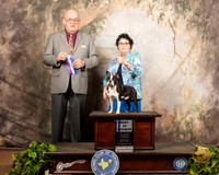 Boston Terrier #17 Sat BOW Judge Col Purkhiser