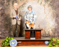 Chihuahua Smooth #17 Sat BOW Judge Roger Hartinger