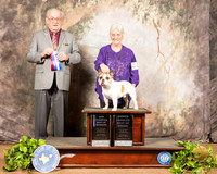 French Bulldog #23 Sun OHBOB BOW Maj NCh Judge Col Purkhiser