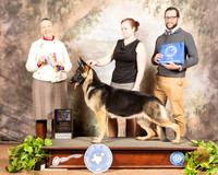 German Shepherd Dog #22 Sat Judge Carolyn A Herbel