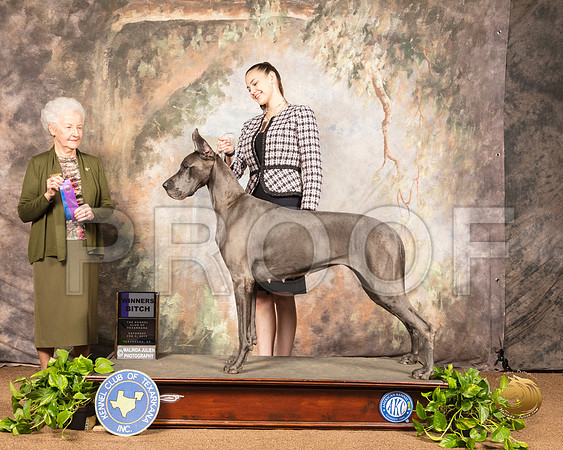 Great Dane #20 Sat WB Judge Paula Hartinger_SSR_0417-TXRKNA2019-HR3