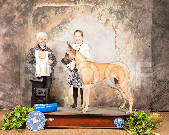 Great Dane #J400 Sat Best Jr Judge Gloria Kerr_SSR_0431-TXRKNA2019-HR3