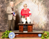 Papillon #7 Sat BOW NCh Judge Roger Hartinger