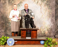 Poodle Miniature #6 Sat Judge Carolyn A Herbel