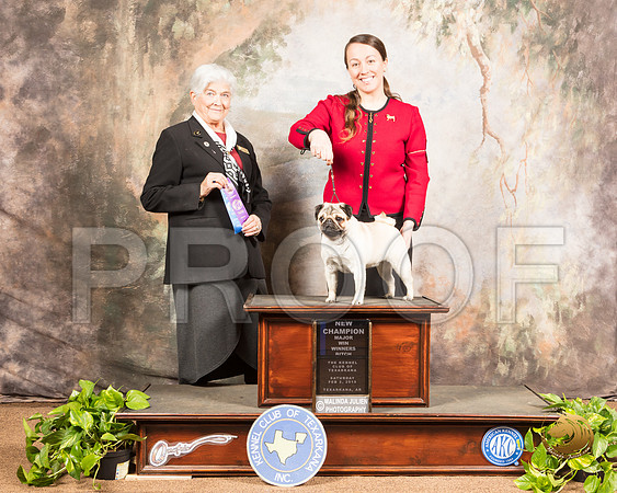 Pug #12 Sat WB Maj NCh Judge Murrel Purkhiser_SSR_0302-TXRKNA2019-HR3