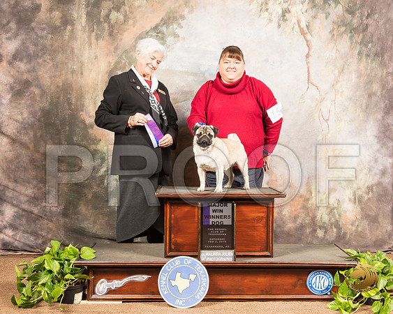 Pug #15 Sat WD Maj Judge Murrel Purkhiser_SSR_0297-TXRKNA2019-HR3