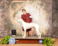 Saluki #5 Sat BOS BOW