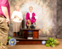 Yorkshire Terrier #18 Sat BOB Judge Carolyn A Herbel