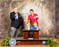 Beagle 15 Sat #8 WB Maj Judge Dr Donald Gill