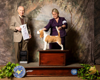 Beagle #12 Sat G4 Judge Roger Hartinger