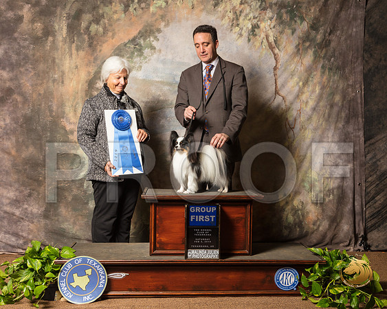 Papillon #5 Sat G1 Judge Gloria Kerr_SSR_0509-TXRKNA2019-HR3