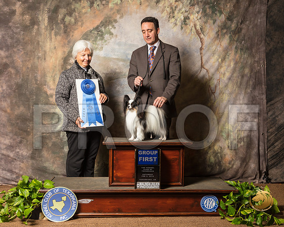 Papillon #5 Sat G1 Judge Gloria Kerr_SSR_0510-TXRKNA2019-HR3
