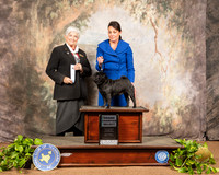 Pug Sat NGr Select Judge Murrel Purkhiser