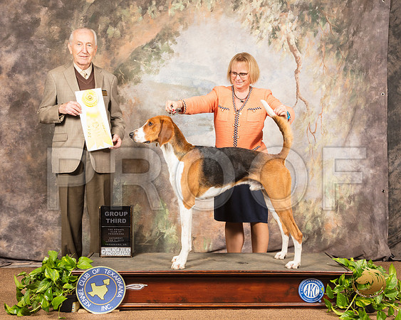 American Foxhound #5 Sat G4 Judge Roger Hartinger_SSR_0604-TXRKNA2019-HR3