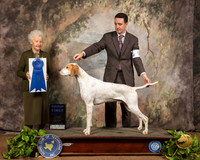 Pointer #9 Sat G1 Judge Paula Hartinger