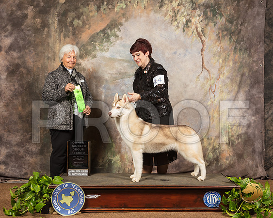 Siberian Husky #14 Sat OHG2 Judge Gloria Kerr_SSR_0587-TXRKNA2019-HR3