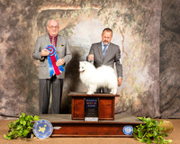 American Eskimo #5 Sat RBIS Judge Col Joe Purkhiser
