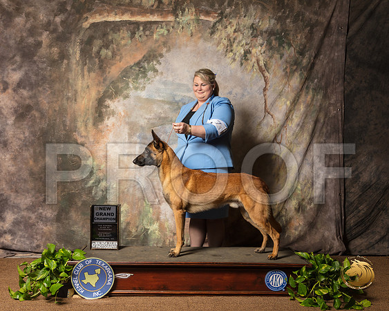 Belgian Malinois #7 Sat BOB NGrCh_SSR_0619-TXRKNA2019-HR3