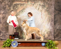 Berger Picard #6 Sat G2 Judge Carolyn A Herbel