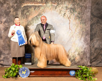 Briard #5 Sat G1 Judge Carolyn A Herbel