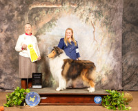 Collie Rough Coat #9 Sat G3 Judge Carolyn A Herbel