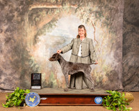 German Shorthaired Pointer #20 Sat BOS Maj Judge Gloria Kerr