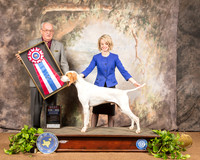Pointer #9 Sat BIS Judge Col Joe Purkhiser