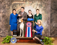 Pointer #9 Sat BIS fun photos